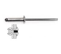 Techman - 50 rivets acier / acier à tête plate Ø 4,8 x 12 mm G