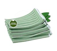 Tech'N'Fast Chiffon Bambou - Essuyage vitre sans Trace, INOX, chromes, miroirs - Lot de 5 Microfibres - Dimensions 48x36cm - Couleurs : Vert-Bleu-Rose (Vert)