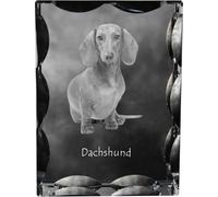 Teckel à poil dur - cristal avec photo du chien, statuette en verre avec photo, cadre unique avec photo de la marque Art-Dog