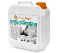 Tecno Prodist TECPINT CONSOLIDANT AL SILICATE - Fixateur pour surfaces de construction, apprêt pour peintures à la chaux ou au silicate, compacte la pierre, la brique, sans désagrégation (4 Litres)