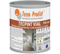 Tecno Prodist TECPINT Peinture à l'eau pour signalisation routière spéciale pour gué, séchage rapide, non toxique (750 ml, blanc)