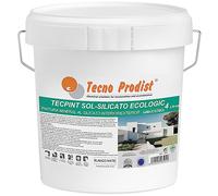 Tecno Prodist TECPINT SOL-SILICATE ECOLOGIC de (4 litres) Peinture extérieure et intérieure au silicate minéral à base d'eau, 100% Naturel. Murs et Plafonds, Respirant - Inodore (BLANC)