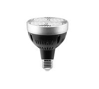 TECNOLUX EURO - Ampoule Led Par30 35W E27 Spot 3000K Lumière chaude