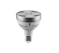 TECNOLUX EURO - Ampoule Led Par30 35W E27 Spot 4200K