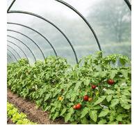 TECPLAST Bâche Serre 6x13 m 200SE - Film plastique transparent pour serre de jardin - Haute Performance - Made in France