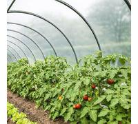 TECPLAST Bâche Serre 6x9 m 200SE - Film Plastique Transparent pour Serre de Jardin - Haute Performance - Made in France