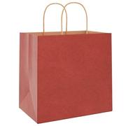 Teenpull Sacs en Papier Kraft Rouge avec poignées en Corde 26x17x25 cm, 250 pièces pour Emballage Cadeau, fête, Anniversaire, Mariage, Boutique, Rangement