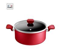TEFAL Faitout 24 cm, Induction, Revêtement antiadhésif, Couvercle verre, Ergonomique, Fabriqué en France, Daily Expert C2894602