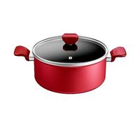 Tefal Faitout 24 Cm, Induction, Revetement Antiadhésif, Couvercle Verre, Ergonomique, Fabriqué En France, Daily Expert C2894602 rouge G