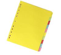 TEHAUX Intercalaires de Classeur Colorés A4 sans Impression, 12 Pages en Plastique 11 Trous, pour Organisation Alphabétique et Classement Facile