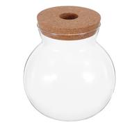 TEHAUX Mini Aquarium Vase en Verre Rond Transparent pour Bureau, | Couvercle Perforé Inclus, Usage Hydroponique et Poissons , Décor Moderne, Format Compact 16x16cm