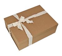 Tekhoho Grande Boîte Cadeau Kraft 44x33x14cm, Boîte Cadeau Rectangulaire Premium avec Couvercle pour Présents, Emballage Cadeau Noël Mariage Anniversaire Fête, Style Rustique.
