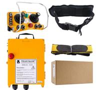 Télécommande Funkkranfern 24V, joystick à 5 positions, indice de protection IP65, portée de 200 mètres