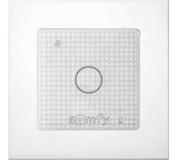 Télécommande radio Somfy pour éclairage 1822651