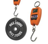 TEMPO DI SALDI Balance professionnelle numérique industrielle crochet dynamomètre ressort max 200 kg, Assortis