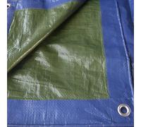 Tenax Cover All Bâche avec œillets en métal imperméable et indéchirable 3 x 5 m Vert/bleu 90 g/m² Pour bois, meubles de jardin, voitures, piscines, bateaux, camping