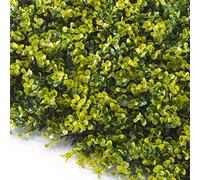 TENAX Divy Panel Buxus Panneau modulaire avec feuilles en polyéthylène type buis, vert clair - 0,5 x 1 m