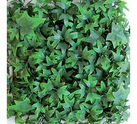 TENAX Divy 3D Panel Helix 0,50 x 1 m Vert, Panneau Modulaire en Feuilles de Lierre Artificielles pour Décoration Murale et Jardin Vertical