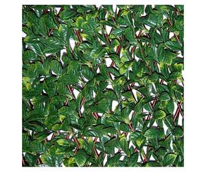 Tenax Divy 3D X-Tens Osmanthe Pergola Haie artificielle extensible en bois naturel Verte 1 x 2 m