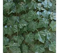 TENAX Divy Hedera Plus 100x300 cm Vert, Haie Synthétique avec Feuilles en PE Type Lierre à Occultation Totale pour Balcons, Jardins et Clôtures