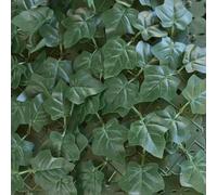 TENAX Divy Hedera Plus Haie synthétique verte - 100 x 300 cm