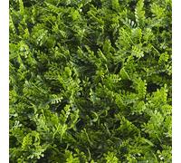 TENAX Divy Panel Helecho 100x100 cm Vert, Panneau Modulaire avec Feuilles Artificielles 3D Type Fougère pour Murs, Jardins Verticaux et Décoration Intérieure/Extérieure