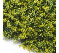 TENAX Divy Panel Buxus Panneau modulaire avec feuilles en polyéthylène type buis, vert clair - 0,5 x 1 m