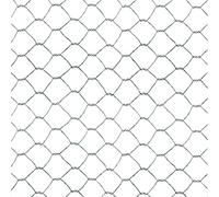 Tenax EXAMET 25 Filet Métallique 0,50x10 m Argent, Maille Hexagonale 26x26 mm, pour Cages et Enclos d'animaux de Basse-Cour (Poules, Lapins, Oiseaux), Petites Clôtures et Applications Agricoles