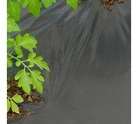 TENAX Film de Paillage Dot Cover 1,50x20 m Noir, Film Micro Perforé Perméable Anti-Mauvaises Herbes pour Paillage, Idéal pour Potager, pour Légumes et Fraises