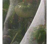 Tenax Microfender 2,00x5 m Transparent, Filet Anti-Insectes, Anti-pucerons pour Cultures et Plantes