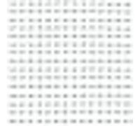 TENAX Ortoflex Filet anti-oiseaux vert - 4,80 x 200 m