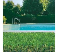 TENAX Scottish Gazon synthétique vert 32 mm - 2 m x 5 m