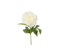 Tendances Fêtes - Tige Fleur Pivoine Artificiel 70CM Blanc