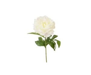 Tendances Fêtes - Tige Fleur Pivoine Artificiel 70CM Blanc
