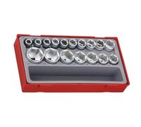 Teng Tools Jeu de douilles TT1217-6 1/2 10-32 mm 17 pièces 6 pans