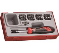 Tengtools 282640101 Juego Destornillador Dynamometrico 1/4" Ttsd38 - 38P 1-5Nm