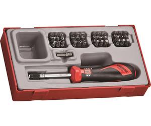 Tengtools 282640101 Juego Destornillador Dynamometrico 1/4" Ttsd38 - 38P 1-5Nm