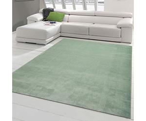 Teppich-Traum Salon entrée Pont Couloir antidérapant Doux avec Design Moderne uni en Vert 60 x 110 cm