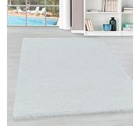 Teppium Tapis à Poils Longs pour Salon, Chambre à Coucher, Salle à Manger, Unicolore & Simple, Doux & Moelleux, Facile d'entretien Taille: 240 x 340 cm, Couleur: Blanc