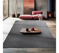 Teppium Tapis de salon 200 x 300 cm (200 x 290 cm) gris lavable, poils courts, moderne au design monochrome, tapis lavable, antidérapant, extra doux et moelleux, pour cuisine, chambre à coucher