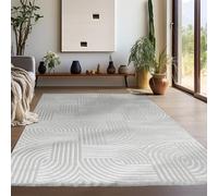 Teppium Tapis de salon moderne à poils courts - 160 x 230 cm - Argent - 3D - Style bohème - Lavable - Style scandinave - Géométrique et doux - Pour chambre à coucher, salle à manger ou cuisine