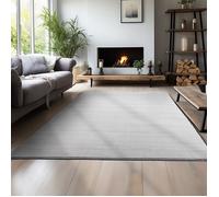 Teppium Tapis salon 200x290 cm Argent Uni moderne et moelleux à poil court, avec sous-couche antidérapante, lavable