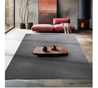 Teppium Tapis salon 240x340 cm Gris Uni moderne et moelleux à poil court, avec sous-couche antidérapante, lavable