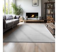 Teppium Tapis Salon Moderne Argent 200x300 (200 x 290 cm) - Tapis à Poils Courts, Unicolor - Moelleux et Doux - Cuisine Moquette Salle de Sejour
