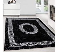 Teppium Tapis Salon Moderne Moquette Moelleuse Noir-5 300x400 (280 x 370 cm), Poils Courts, Conception Méandre, Doux - Cuisine Salle de Sejour