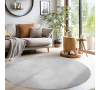 Teppium Tapis Salon Moderne Tapis Chambre Argent 160 cm Rond - Tapis à Poils Courts, a Poil Ras, Unicolor - Monochrome Moelleux et Doux - Tapis Cuisine Moquette Salle de Sejour
