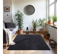 Teppium Tapis Salon Moderne Tapis Chambre Noir 240 x 340 cm - Tapis à Poils Courts, a Poil Ras, Unicolor - Monochrome Moelleux et Doux - Tapis Cuisine Moquette Salle de Sejour
