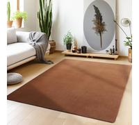Teppium Tapis Salon Moderne Unicolor Moelleux 160x230 cm - Tapis Cuisine Salle de Sejour