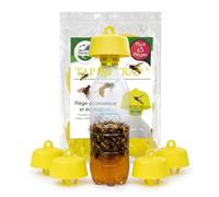Terra Nostra - Piège Tap Trap 161605 - Guêpes, Frelons & Mouches - Sachet x5 unités