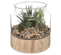 Terrarium Artificiel Plante Verte Plateau en Bois H 17,5 cm - Atmosphera